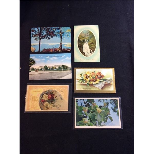 Post card lot
