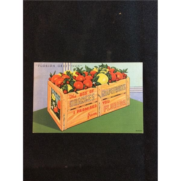 Florida greetings oranges and grapefruits postcard