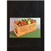Image 1 : Florida greetings oranges and grapefruits postcard