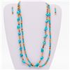 Image 2 : Turquoise Magnesite and Shell Heishi Necklace