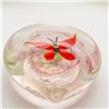 Image 3 : 3 Glass Paperweights