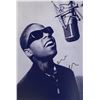 Image 1 : Autograph Signed  Stevie Wonder Photo