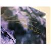 Image 3 : Signed Ross Marquand SWAU Poster