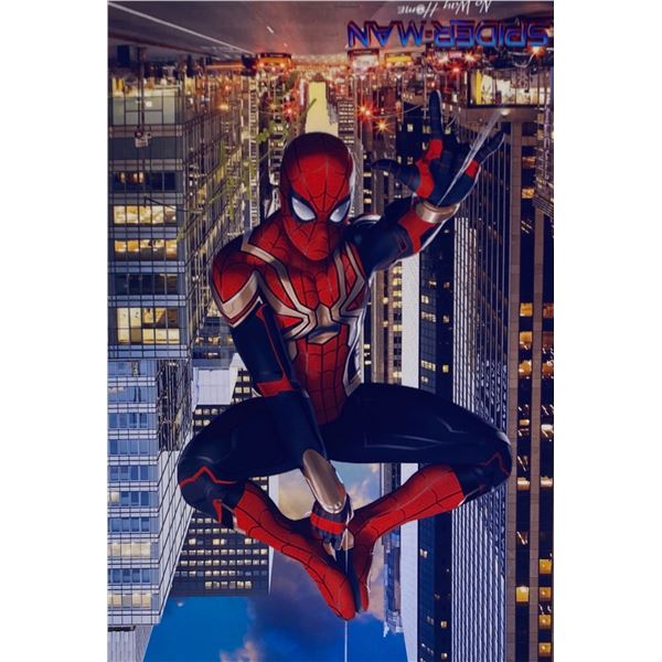 Autograph Signed Spiderman No Way Home Photo