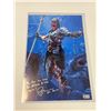 Image 2 : Signed Patrick Wilson Photo Beckett