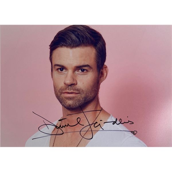 Autograph Signed Daniel Gillies Photo