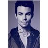 Image 1 : Autograph Signed Daniel Gillies Photo