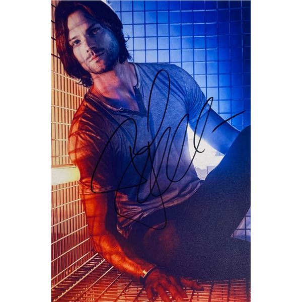 Autograph Signed  Jared Padalecki Photo