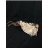 Image 2 : 4 Feather Bird Ornaments