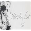 Image 3 : Moshe Gat, Lot of 2 Lithographs