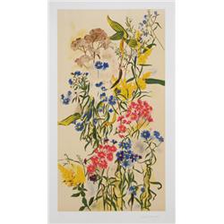 Dorothy Dennison, Wild Asters, Lithograph