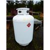 Image 1 : 450 Litre Propane Pig