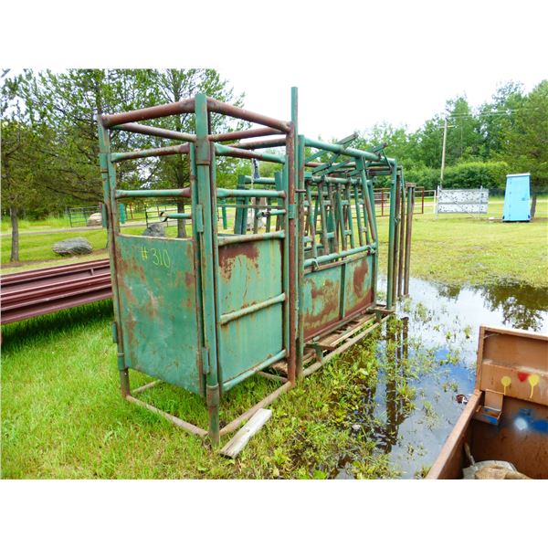 Cattle Squeeze c/w Self Catch Head Gate and Palpation Cage