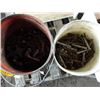 Image 2 : 2- Pails, Bolts and Box of Bolts