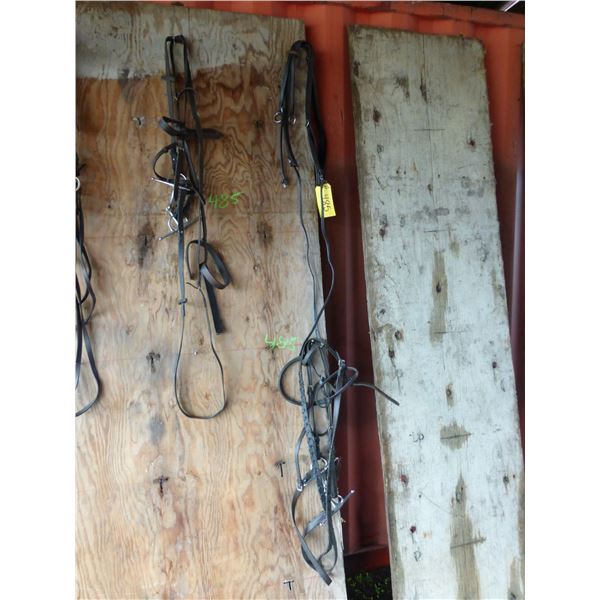2- Bridles and Leads