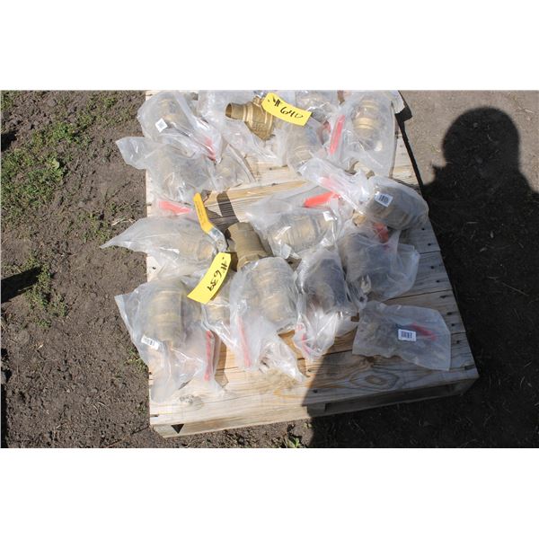 10- Brass Valves (New)