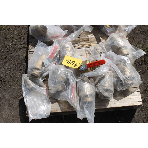 10- Brass Valves (New)