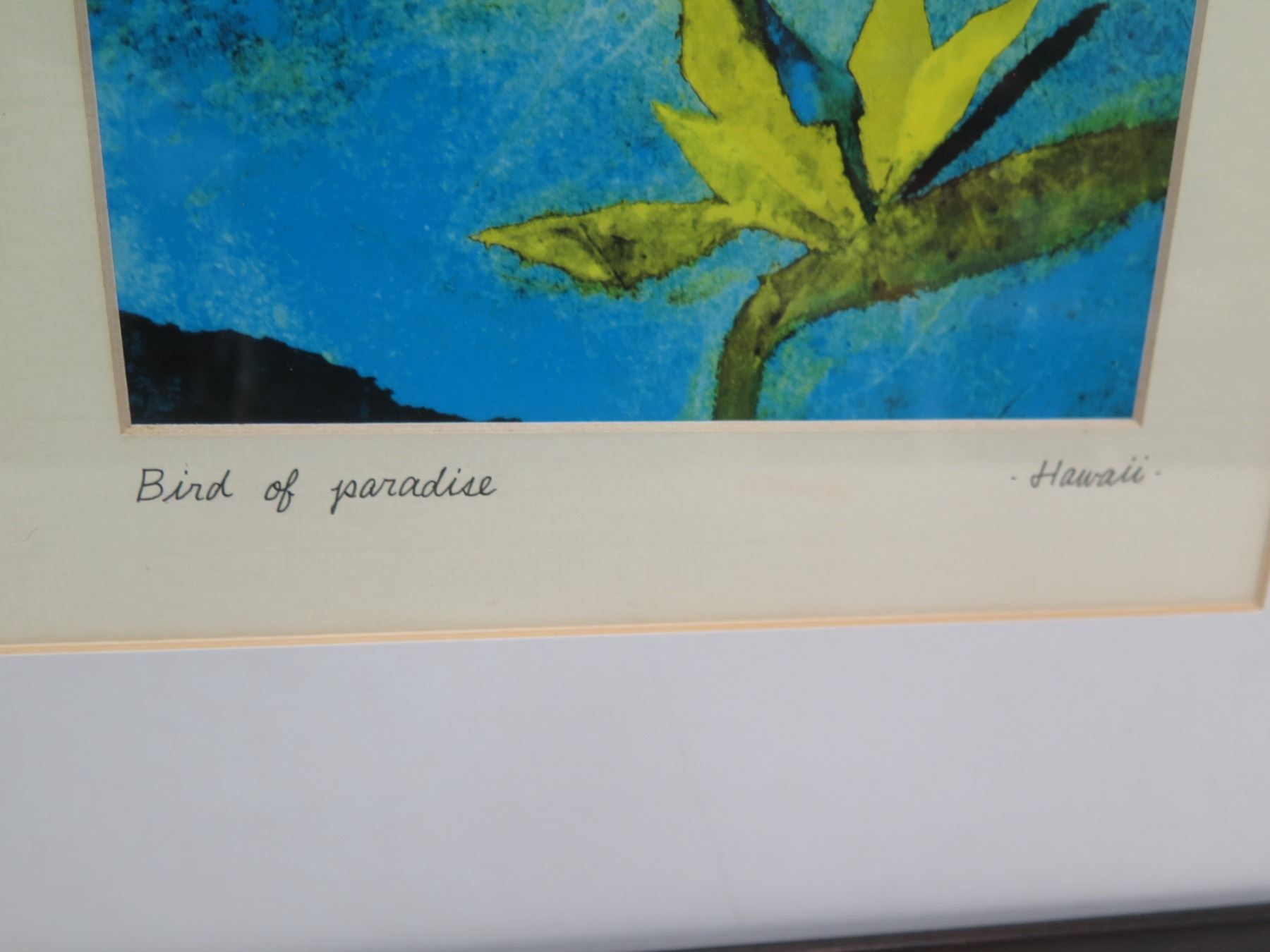 Bird Of Paradise Hawaii Artwork Framed Matted 19 x23 bird-of-paradise-hawaii-artwork-framed-matted-19-x23