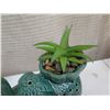 Image 7 : Gold Colored Piggy Bank w/ Asian Markings, Blue Fish & Elephant Plant Holder