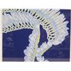Image 2 : Micronesian Ginger Artwork Numbered 10/250 Signed Boloker 22"x18"