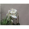 Image 16 : Qty 4 Potted Artificial Flower Plants: Orchids, Berries, Ferns, etc