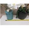 Image 17 : Qty 4 Potted Artificial Flower Plants: Orchids, Berries, Ferns, etc