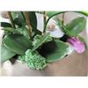 Image 17 : Qty 3 Potted Artificial Flower Arrangements: Orchids, Leaves, etc