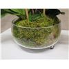Image 2 : Qty 3 Potted Artificial Flower Arrangements: Orchids, Leaves, etc