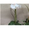 Image 3 : Qty 4 Potted Artificial Flower Arrangements: Orchids, Leaves, Ferns, etc