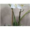 Image 8 : Qty 4 Potted Artificial Flower Arrangements: Orchids, Leaves, Ferns, etc