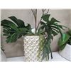 Image 8 : Qty 3 Potted Artificial Flower Arrangements: Orchids, Leaves, etc