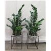 Image 1 : Qty 2 Tall Potted Artificial Leafy Plants in Metal Stands 54"H