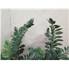 Image 2 : Qty 2 Tall Potted Artificial Leafy Plants in Metal Stands 54"H