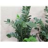 Image 3 : Qty 2 Tall Potted Artificial Leafy Plants in Metal Stands 54"H