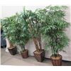 Image 1 : Qty 4 Tall Artificial Potted Fern Trees Approx. 72"H