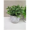 Image 2 : Qty 10 Misc Potted Artificial Plants, Ferns, etc