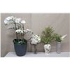 Image 1 : Qty 4 Potted Artificial Flower Plants: Orchids, Anthurium, Ferns, etc