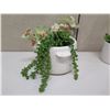 Image 2 : Qty 5 Potted Artificial Flower Plants: Orchids, Succulents, Ferns, etc