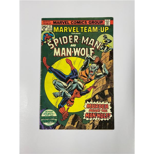 Spiderman #37 Vintage Marvel Comic