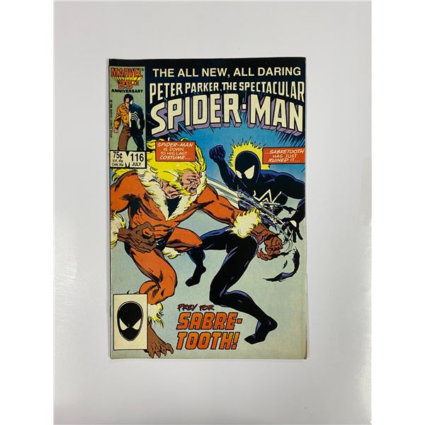 Spiderman #116 Vintage Marvel Comic