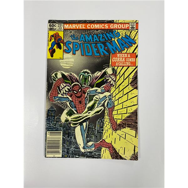Spiderman #231 Vintage Marvel Comic