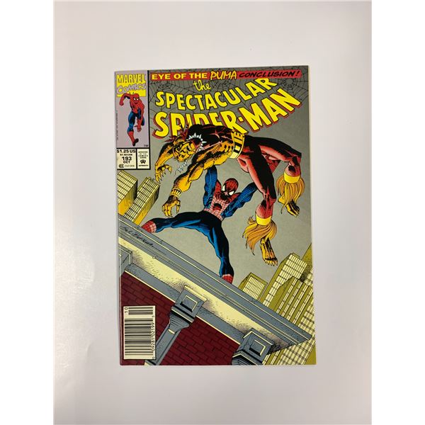 Spiderman #193 Vintage Marvel Comic
