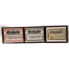 Image 1 : Cripple Creek Stock Certificates and Checks (13); 1890s-1930s [153285]
