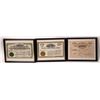 Image 2 : Cripple Creek Stock Certificates and Checks (13); 1890s-1930s [153285]