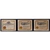 Image 2 : Colorado Mining Stock Certificates (27); c. 1890s-1900s [153287]