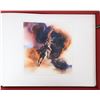 Image 19 : Bev Doolittle Portfolio: Where Silence Speaks [147908]