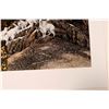 Image 2 : Bev Doolittle Prints:  Sacred Circle & Prayer for the Wild Things [139914]