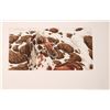 Image 8 : Bev Doolittle: Hide and Seek Suite Folio [139929]