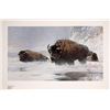Image 1 : Mario F Fernandez Print - Faces of Winter [139923]