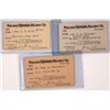 Image 1 : 3 Consecutive Passes to Midland Terminal Railway Co. 1912, 1913, 1914 [151476]